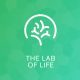 Lab of life logo met witte tekst en groene achtergrond
